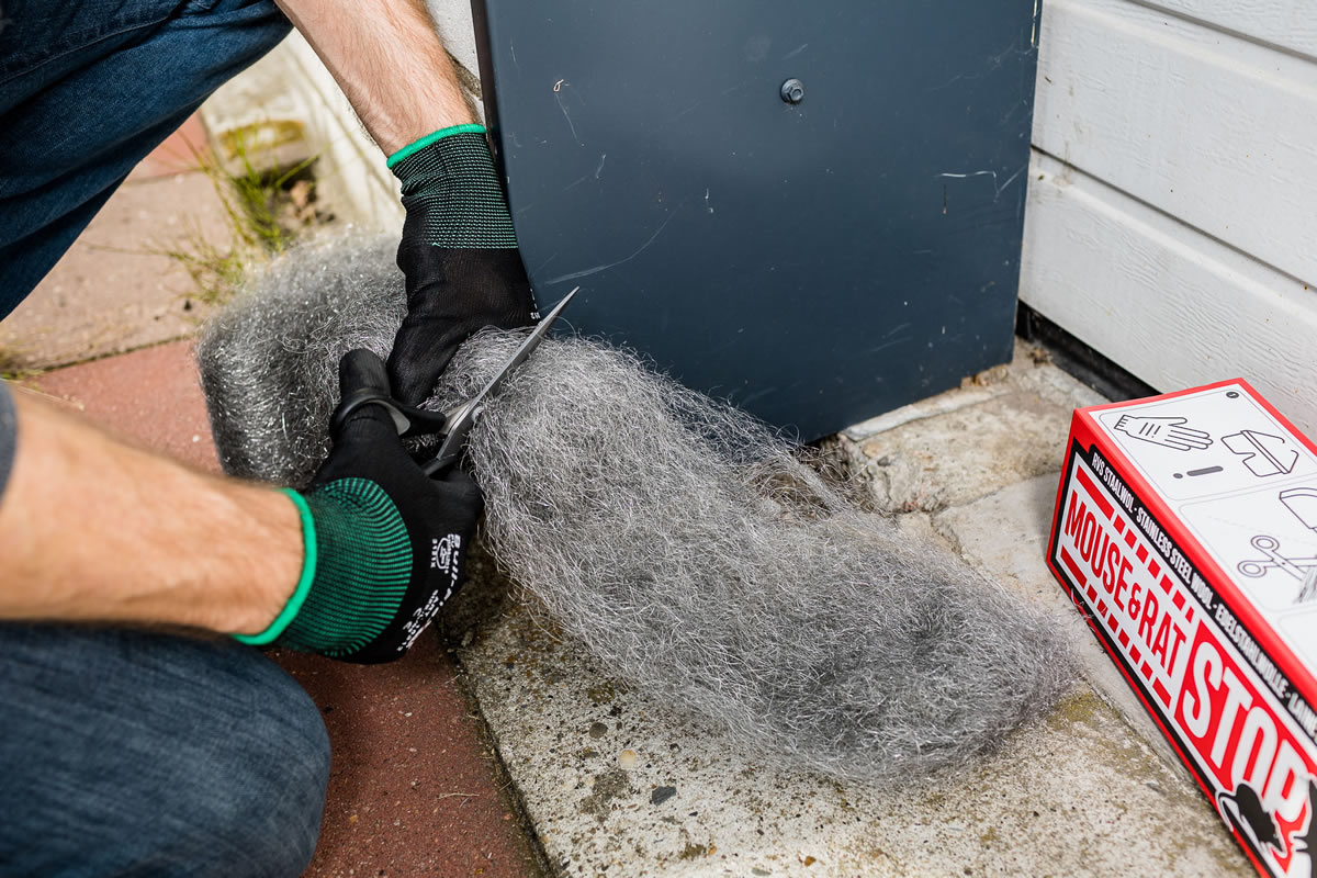 Staalwol tegen muizen afknippen
